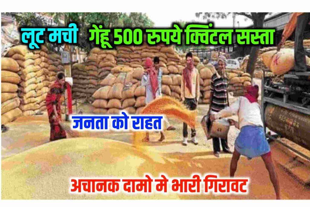 India Wheat Today Price: